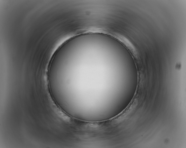 X0000101181190200807111108