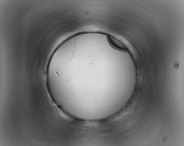 X0000101181191200807111108