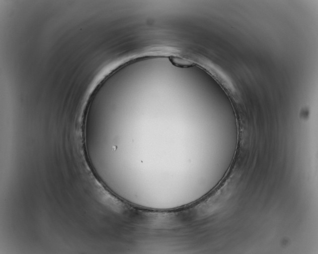 X0000101181192200807111108