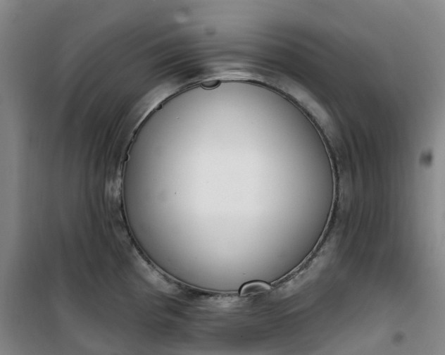 X0000101181193200807111108