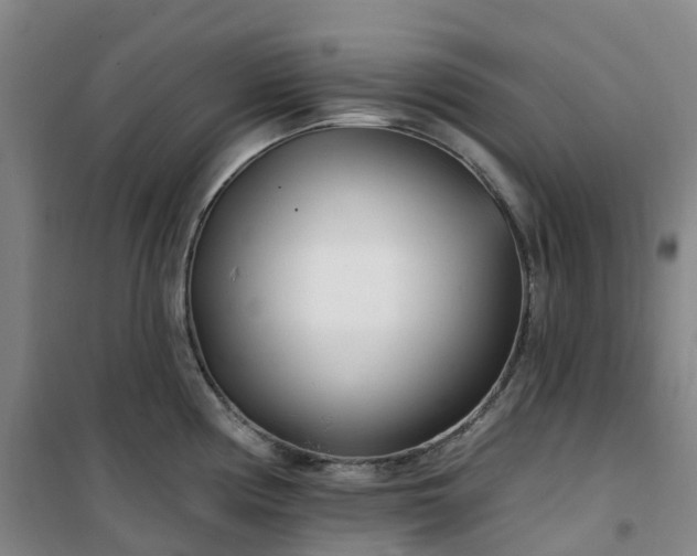 X0000101181194200807111108