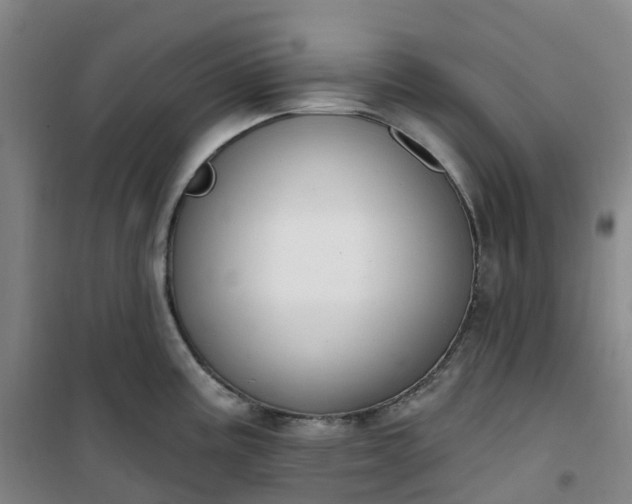X0000101181195200807111108