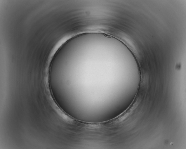 X0000101181196200807111108