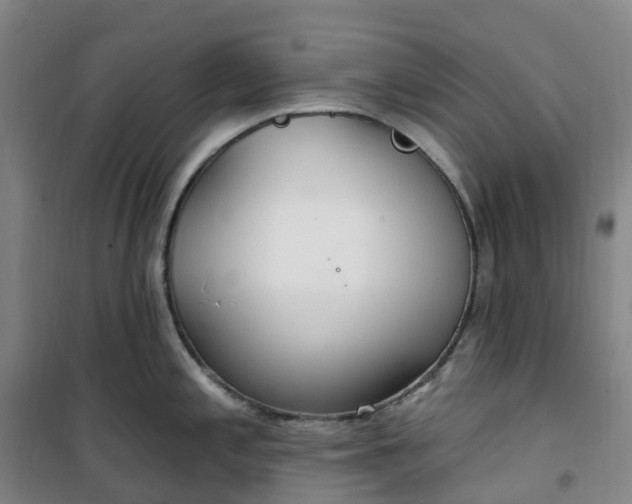 X0000101181197200807111108