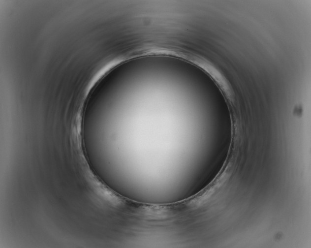 X0000101181198200807111108