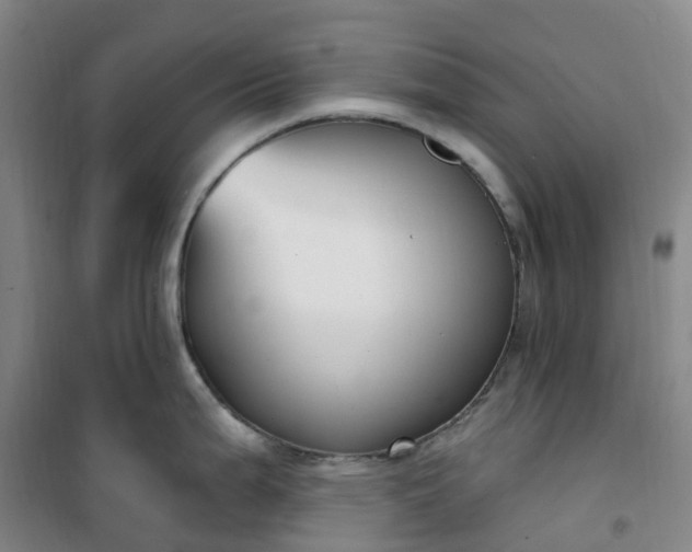 X0000101181199200807111108