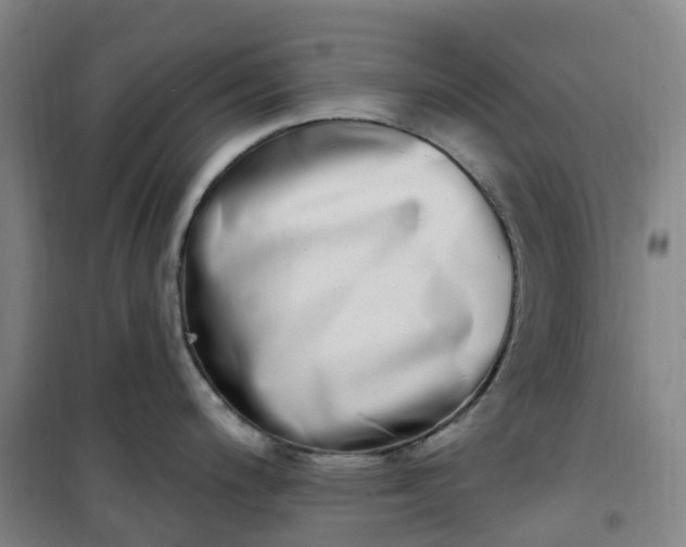 X0000101181200200807111108