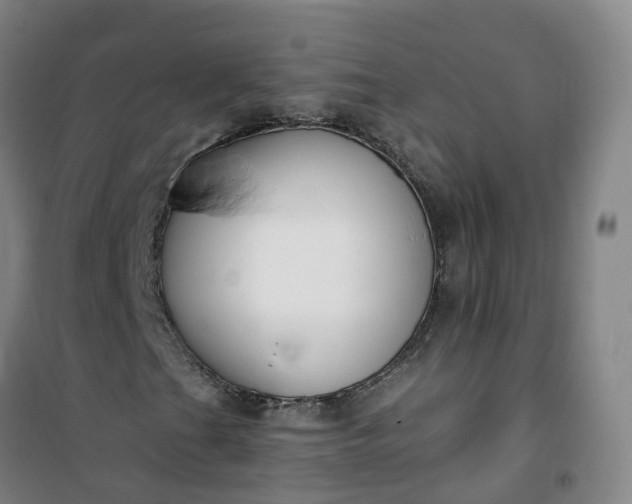 X0000101181201200807111107