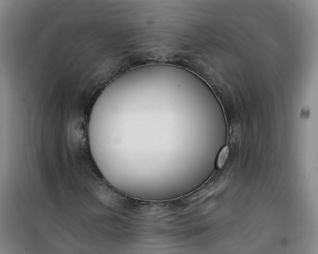 X0000101181202200807111107