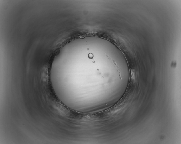 X0000101181203200807111107
