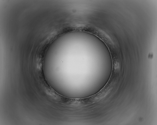 X0000101181204200807111107