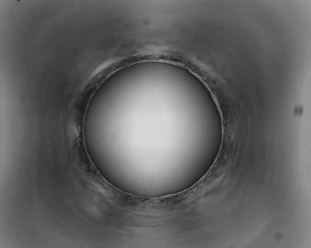 X0000101181206200807111107