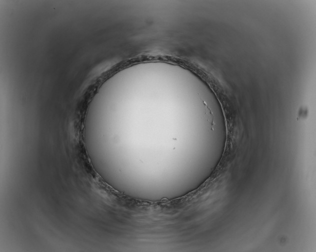 X0000101181207200807111107