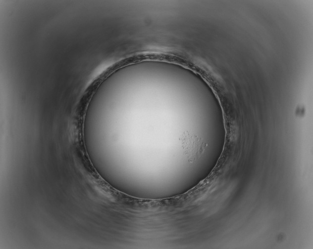 X0000101181208200807111107
