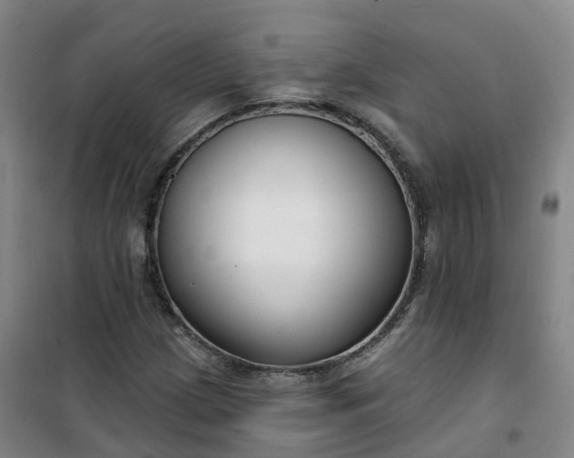 X0000101181209200807111107