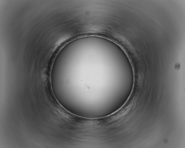 X0000101181210200807111107