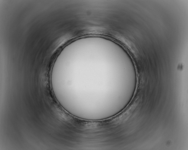 X0000101181211200807111107