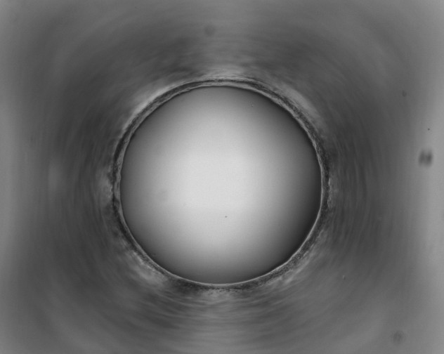 X0000101181212200807111107