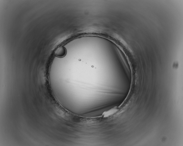 X0000101181213200807111107