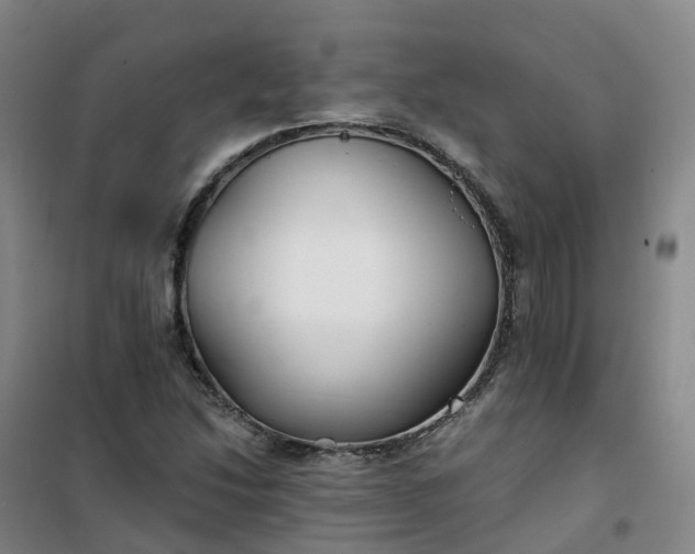 X0000101181214200807111107