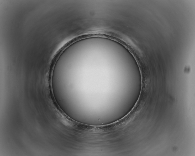 X0000101181216200807111107