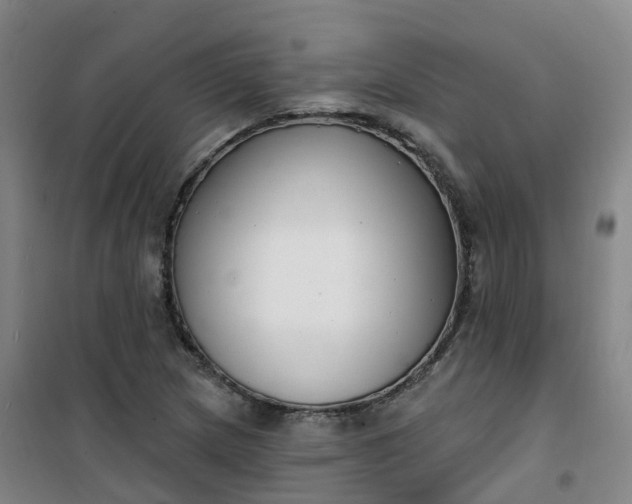 X0000101181217200807111107