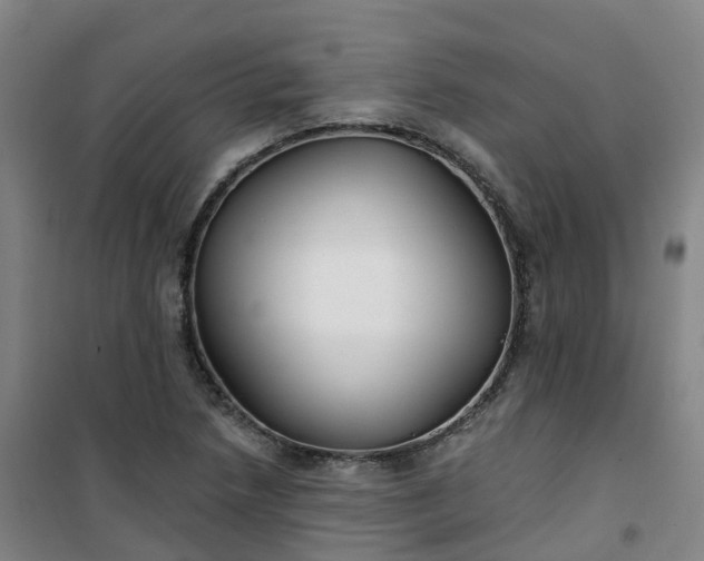 X0000101181218200807111107