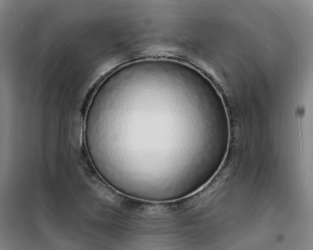 X0000101181219200807111107