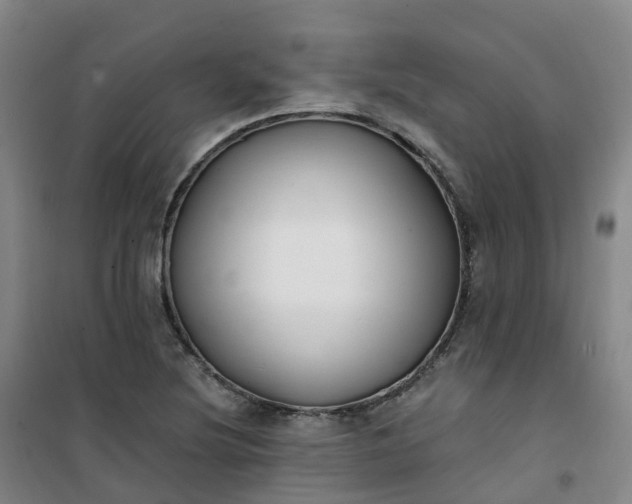 X0000101181220200807111107