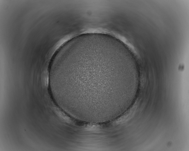 X0000101181221200807111107