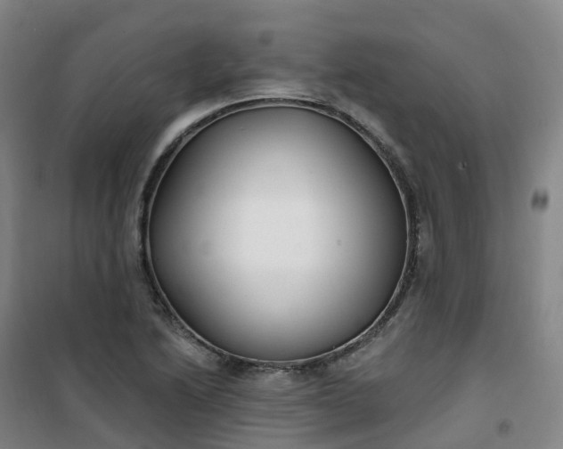 X0000101181222200807111107