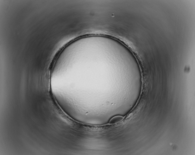 X0000101181223200807111107