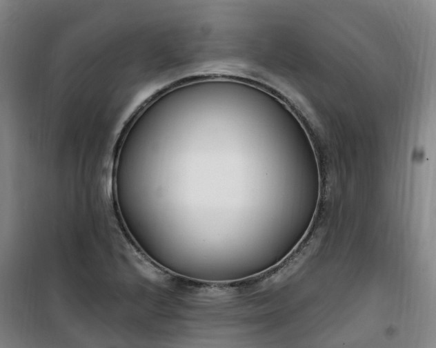 X0000101181224200807111107