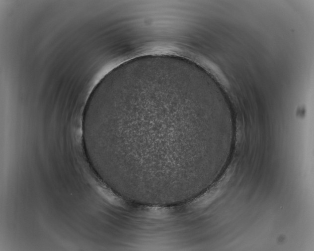 X0000101181226200807111108
