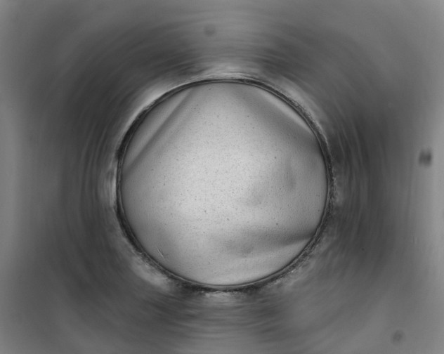 X0000101181227200807111108