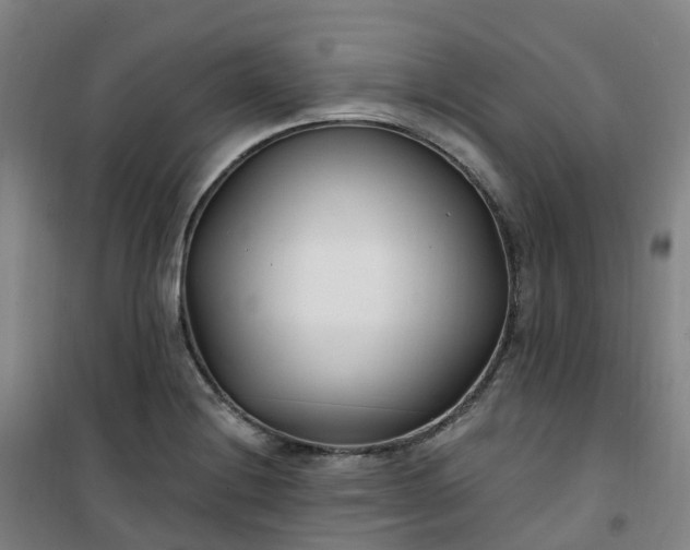 X0000101181228200807111108