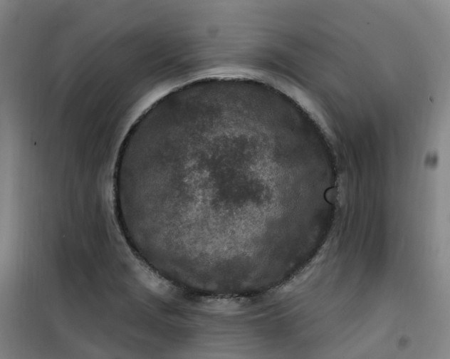 X0000101181229200807111108