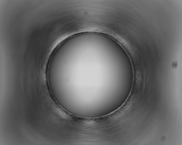 X0000101181230200807111108