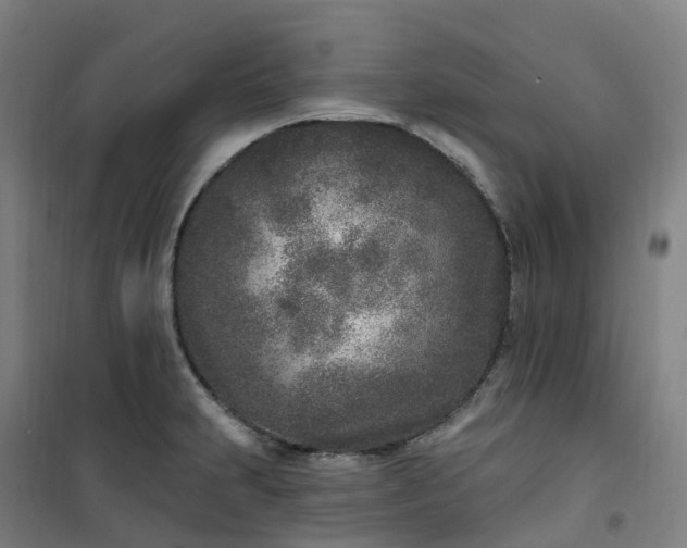 X0000101181231200807111108
