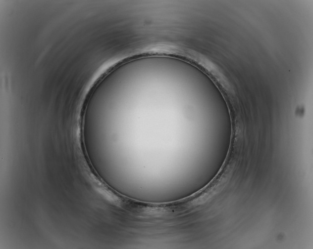 X0000101181232200807111108