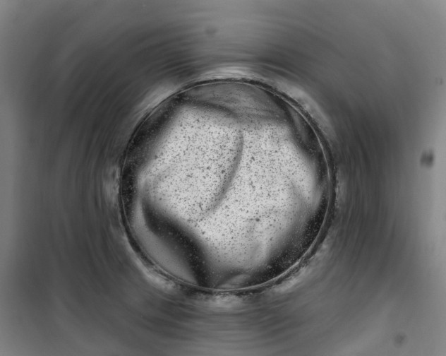 X0000101181233200807111108