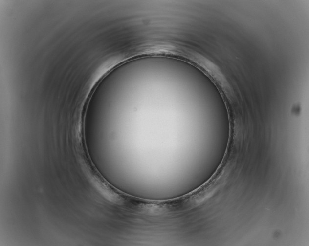 X0000101181234200807111108