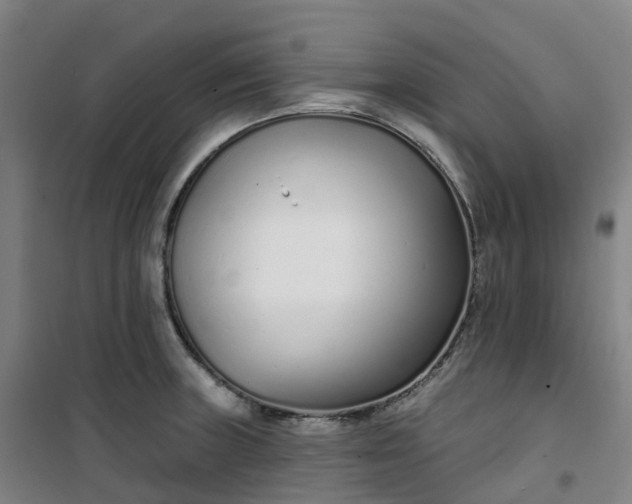 X0000101181235200807111108