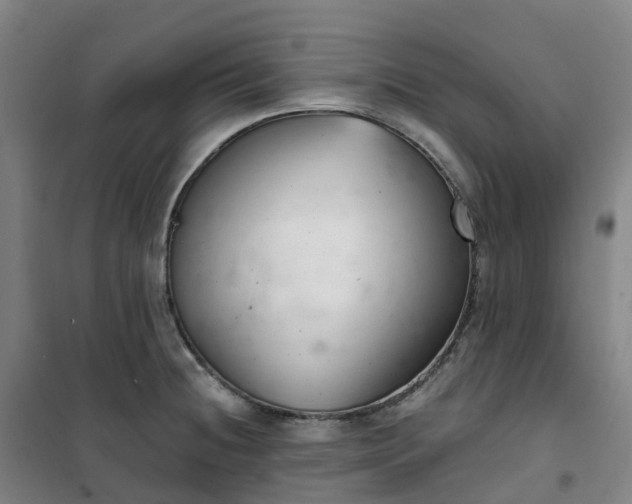 X0000101181236200807111108