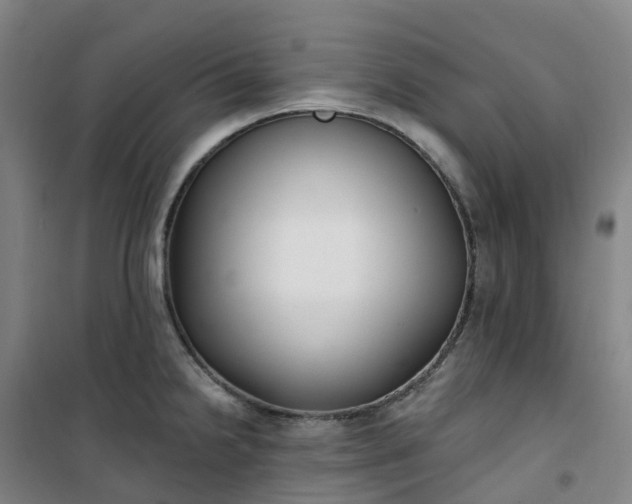 X0000101181238200807111108
