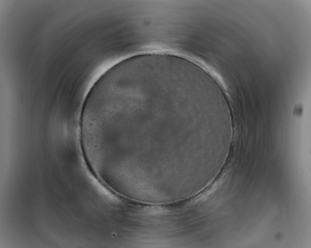 X0000101181239200807111108