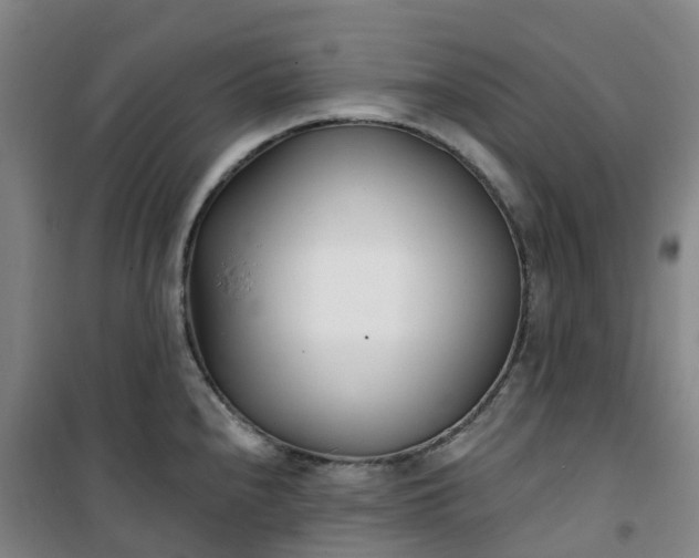 X0000101181240200807111108