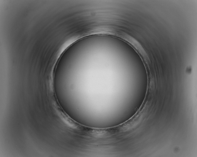 X0000101181242200807111108