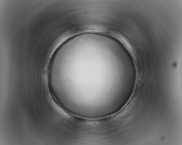 X0000101181243200807111108