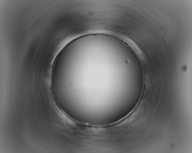 X0000101181244200807111108